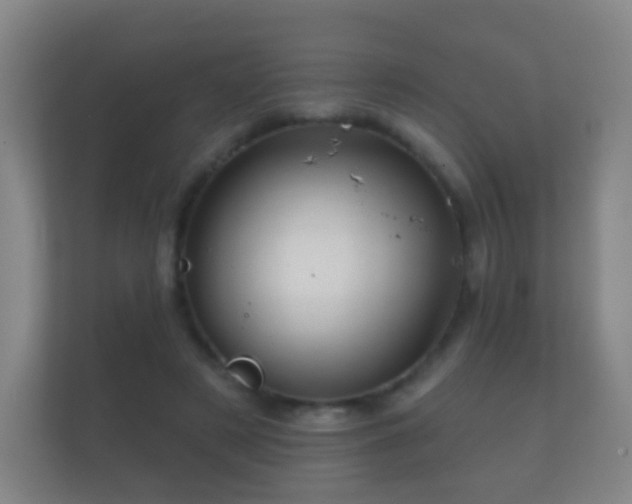 X0000112160497200908141237
