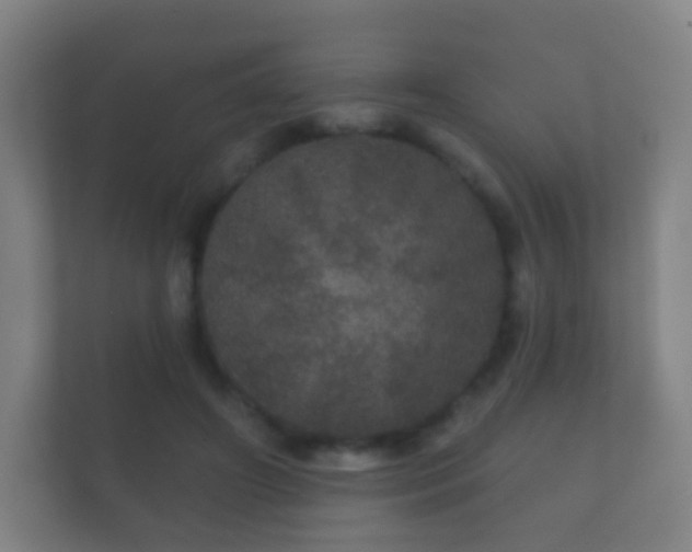 X0000112160498200908141237