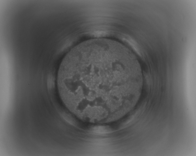 X0000112160499200908141237