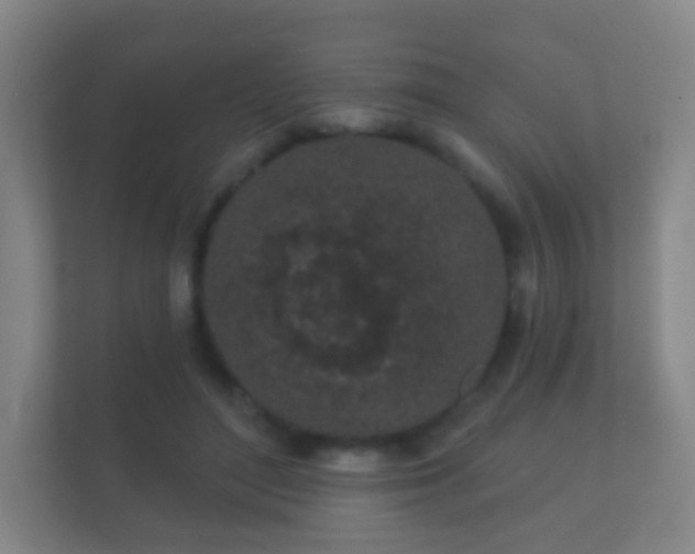 X0000112160500200908141237