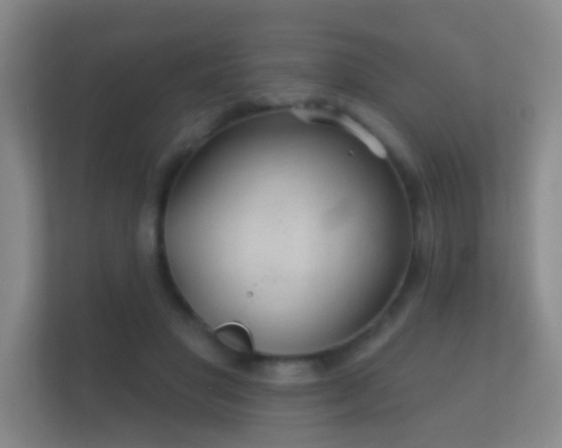 X0000112160501200908141237