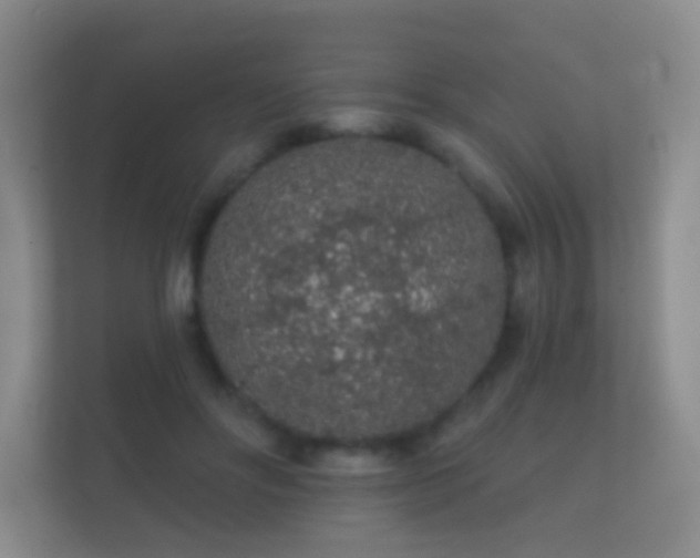 X0000112160502200908141237