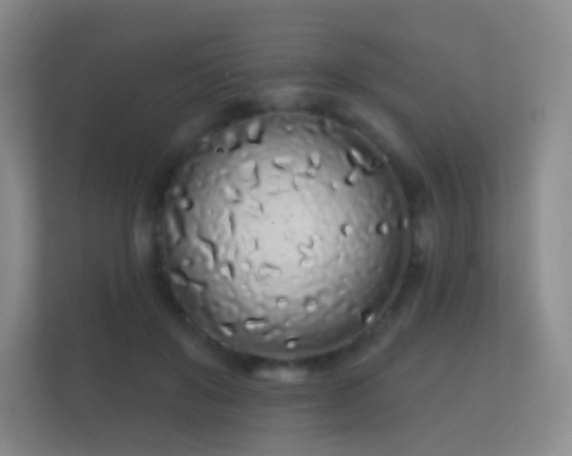 X0000112160503200908141237