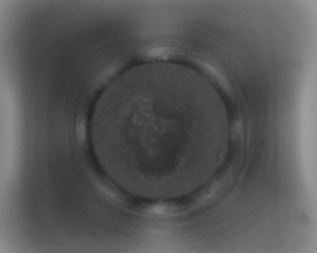 X0000112160504200908141237