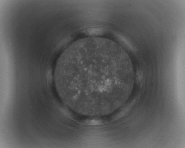 X0000112160506200908141237