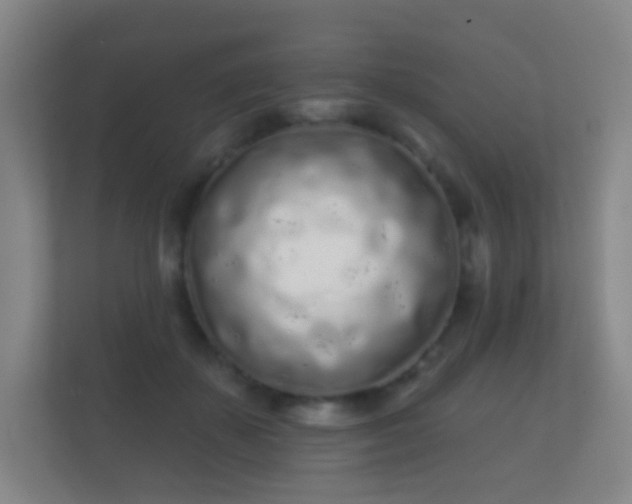 X0000112160507200908141237