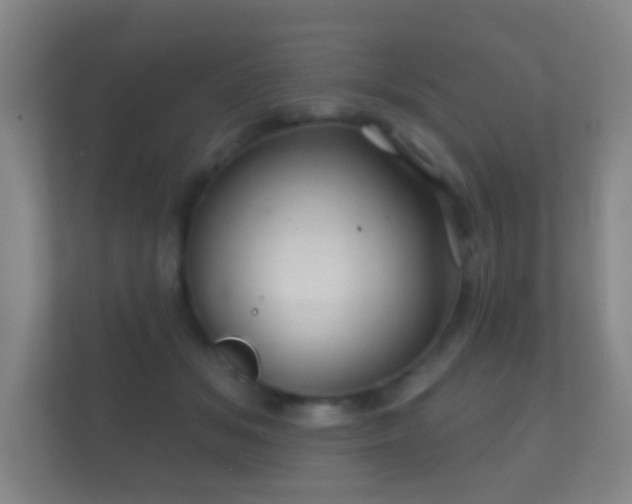 X0000112160509200908141237