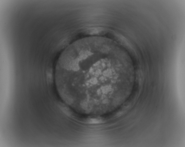 X0000112160510200908141237