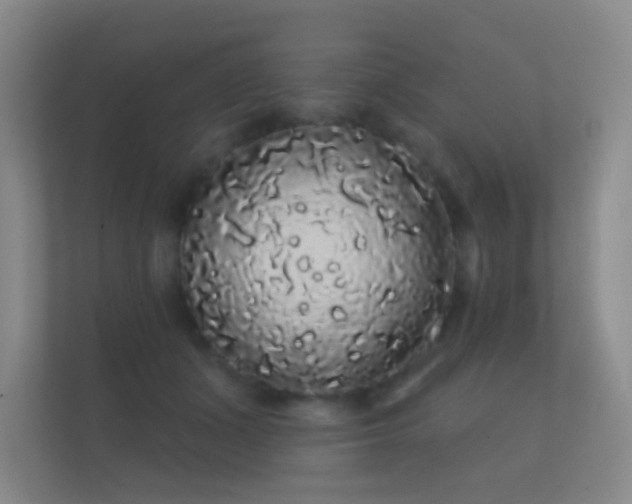 X0000112160511200908141237