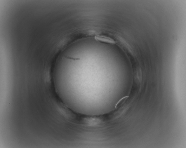 X0000112160512200908141237