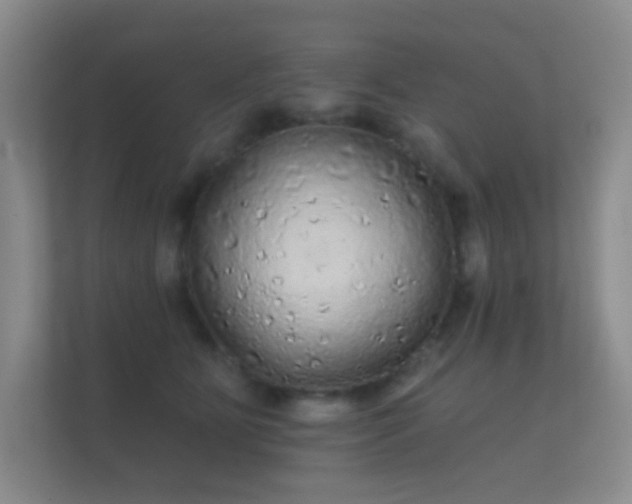 X0000112160515200908141237
