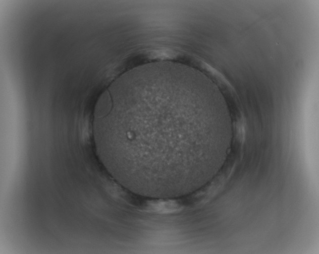 X0000112160517200908141237