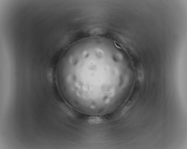 X0000112160519200908141237