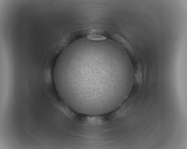 X0000112160520200908141237