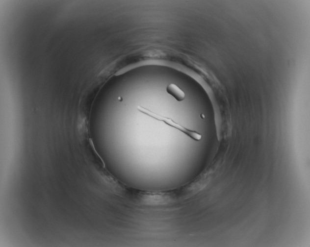 X0000112160521200908141237