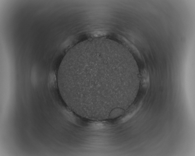 X0000112160523200908141237