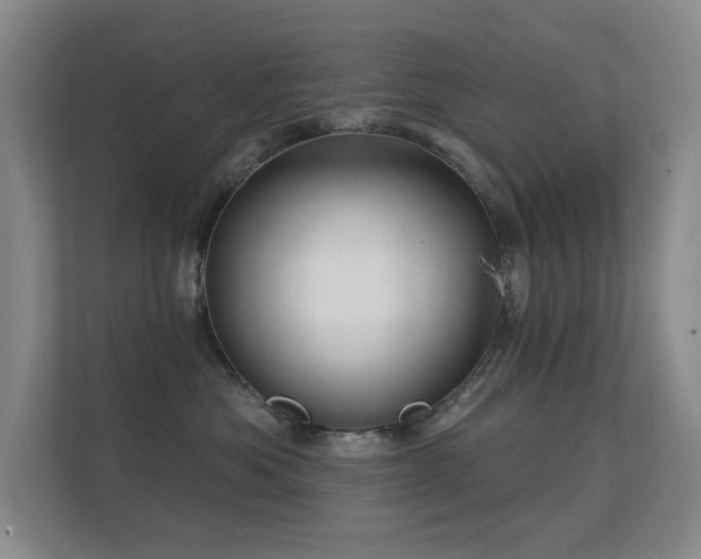 X0000112160525200908141237
