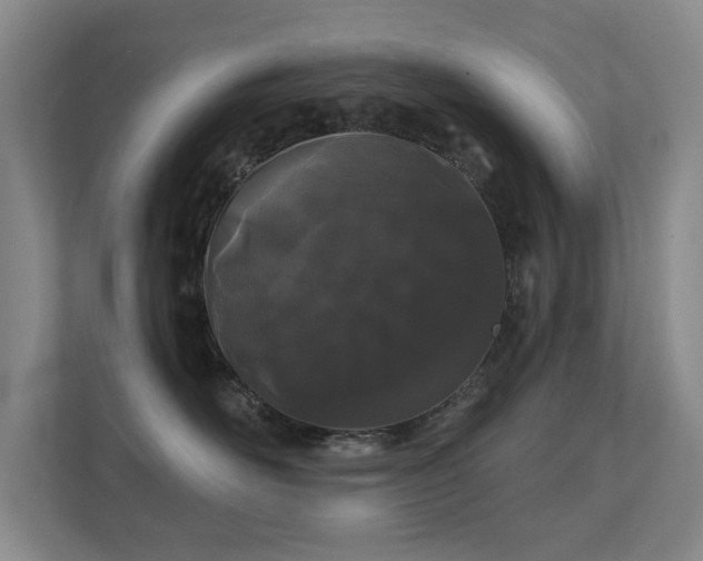 X0000112160526200908141237