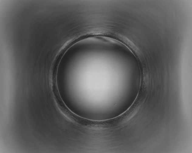 X0000112160530200908141236