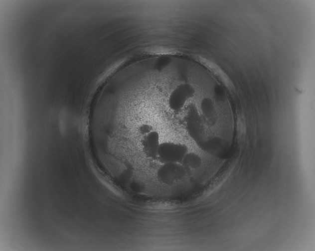 X0000112160533200908141236