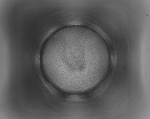 X0000112160534200908141236