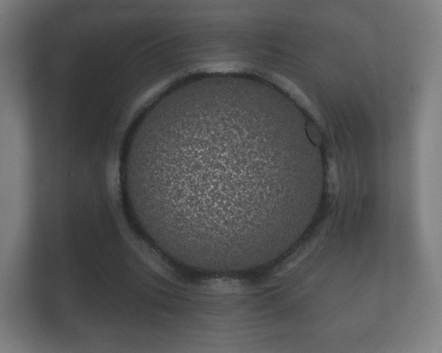 X0000112160535200908141236