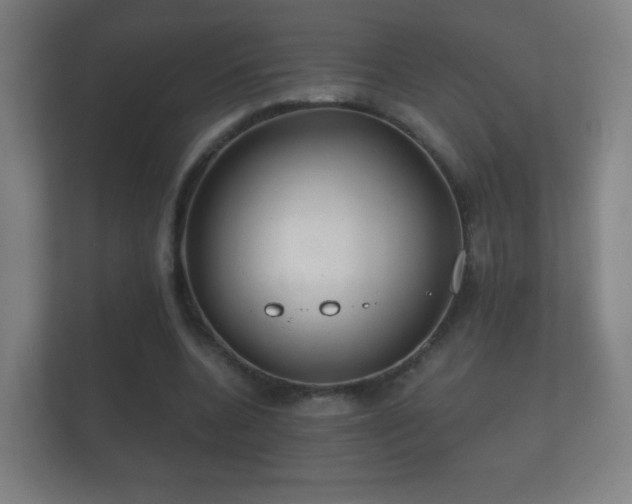 X0000112160536200908141236