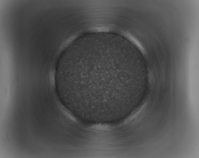 X0000112160537200908141236