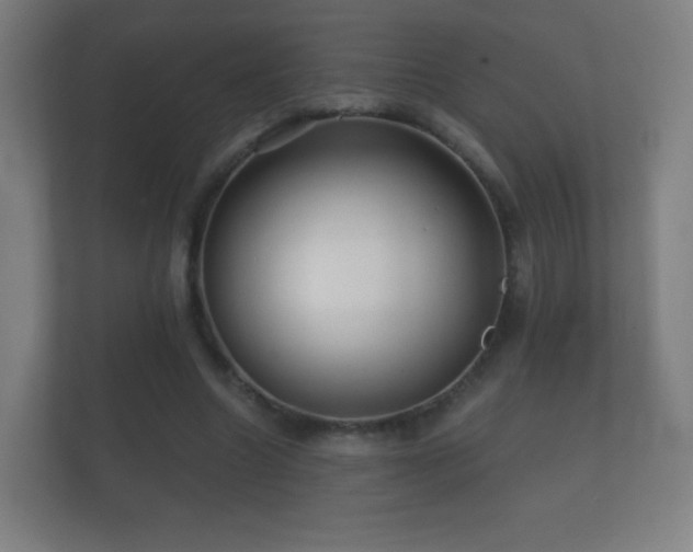 X0000112160538200908141236