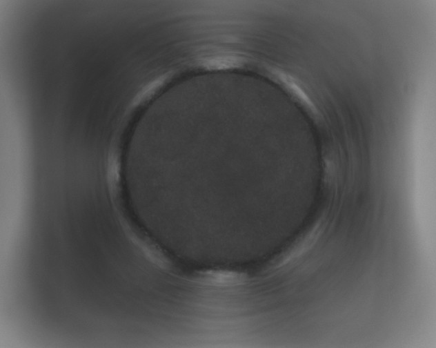X0000112160539200908141236
