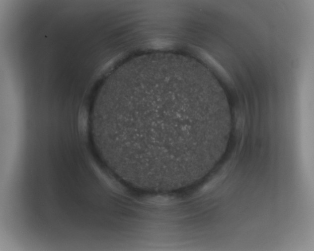 X0000112160542200908141236