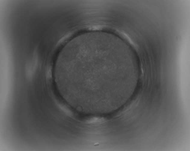 X0000112160543200908141236