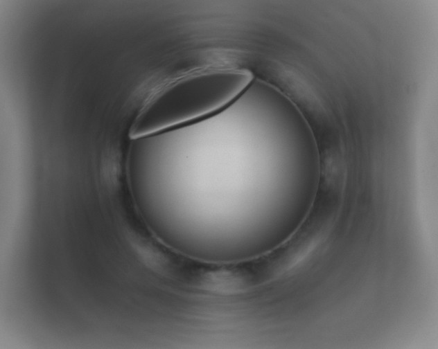 X0000112160544200908141236
