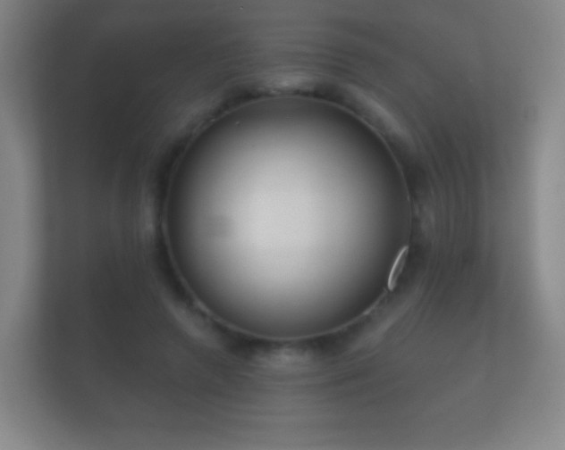 X0000112160546200908141236