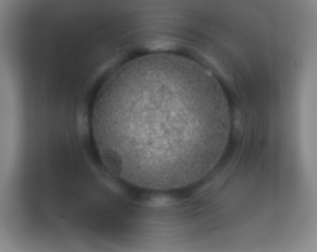 X0000112160547200908141236