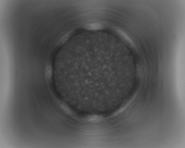 X0000112160549200908141236