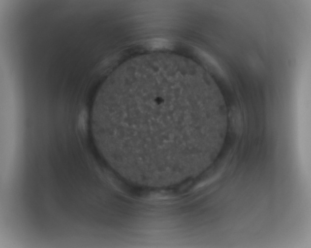 X0000112160550200908141236