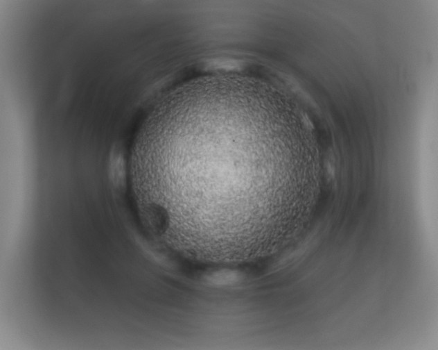X0000112160551200908141236