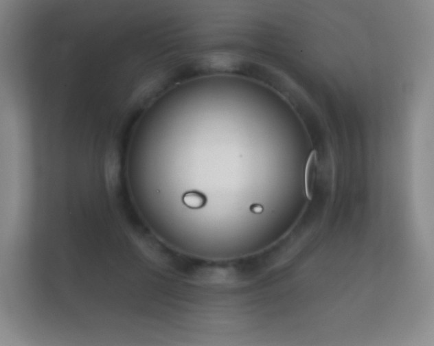 X0000112160552200908141236