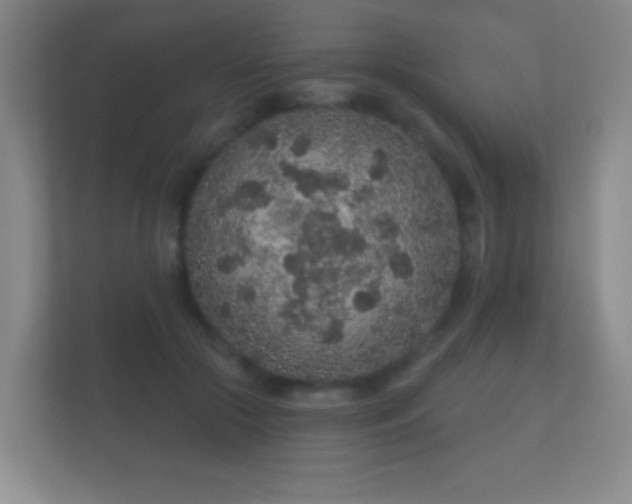 X0000112160553200908141236