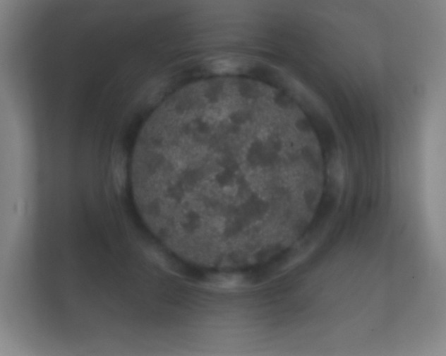 X0000112160554200908141236