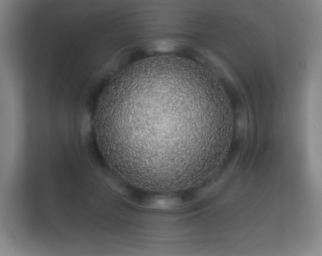 X0000112160555200908141236