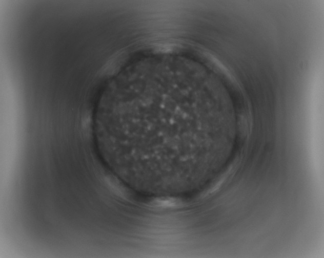 X0000112160557200908141237