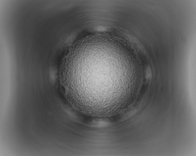 X0000112160559200908141237
