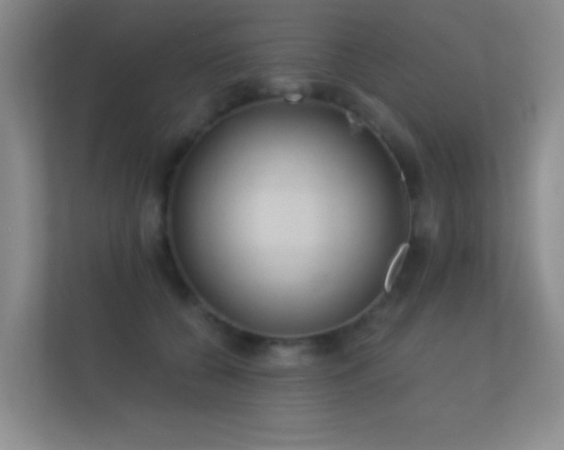 X0000112160560200908141237