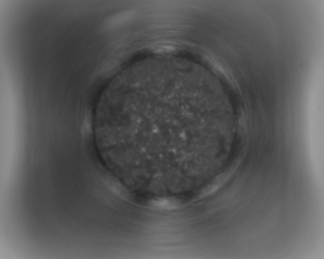 X0000112160561200908141237