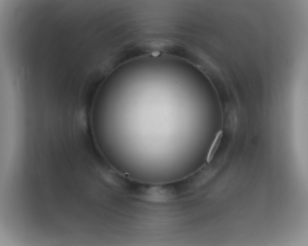 X0000112160562200908141237