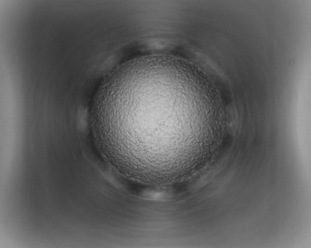 X0000112160563200908141237
