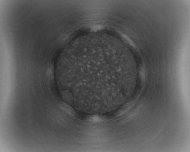 X0000112160565200908141237