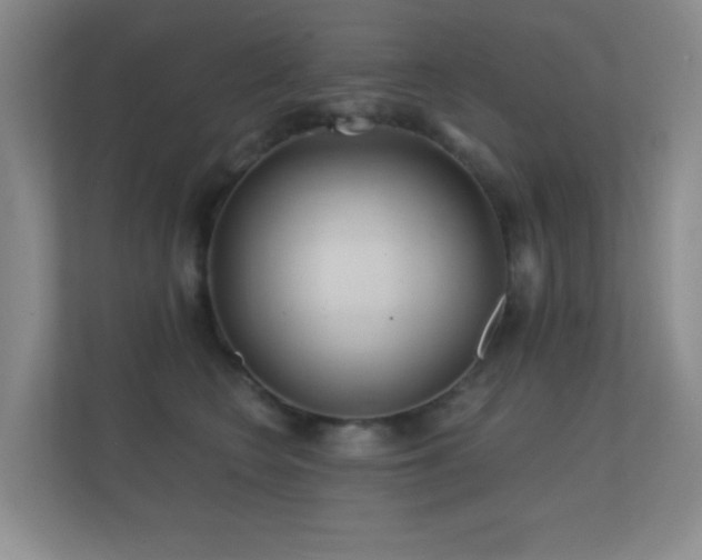 X0000112160566200908141237